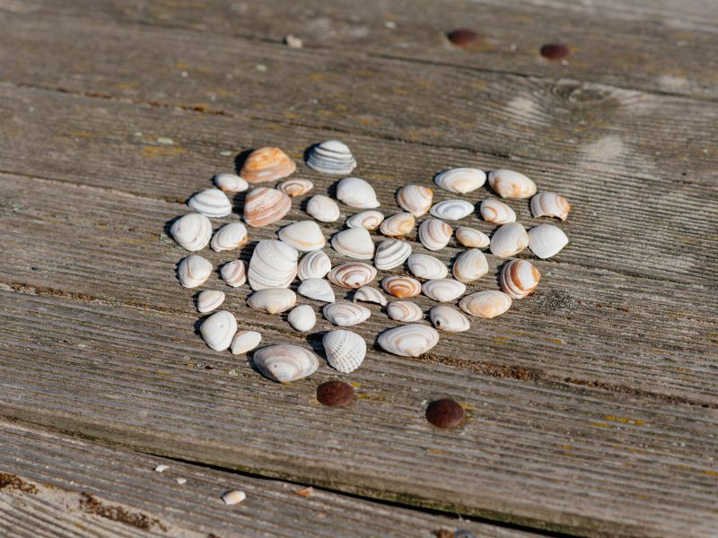 Trouwen bij Moments Beach